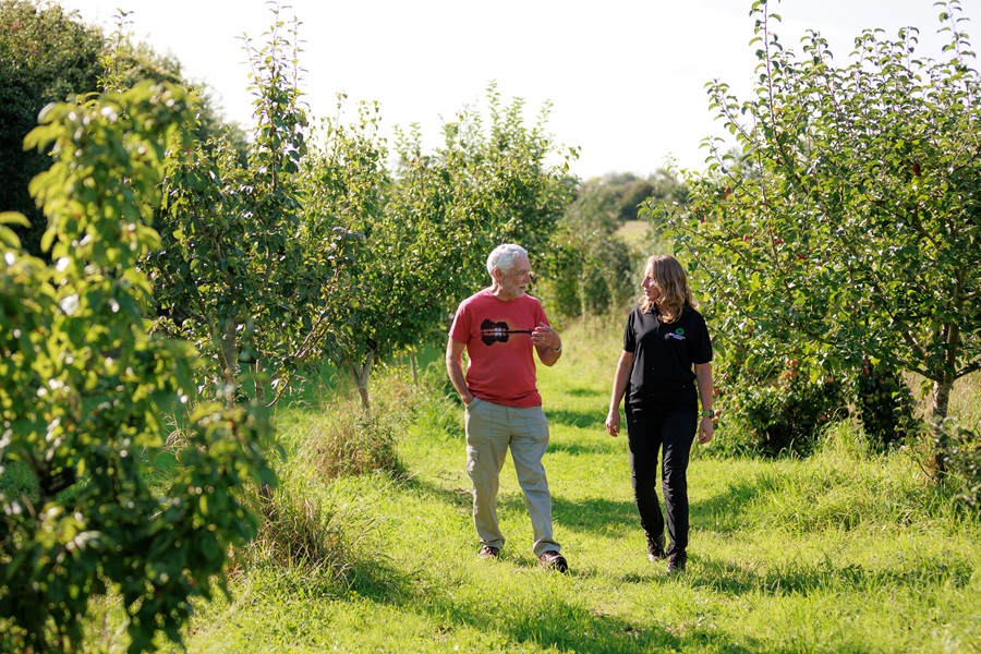 Two people walk through rows of green, leafy, trees while having a conversation.